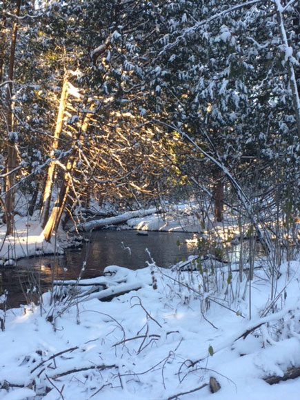 Poole Creek winter wonderland. Photo by Michelle Legault