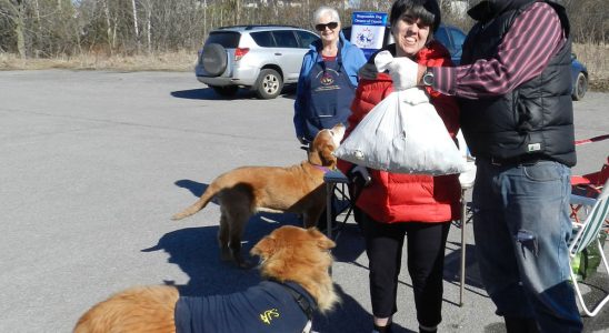 Dagmar VanBeselaere, Jennifer Harris and Scott Campbell at Saturday's clean-up.