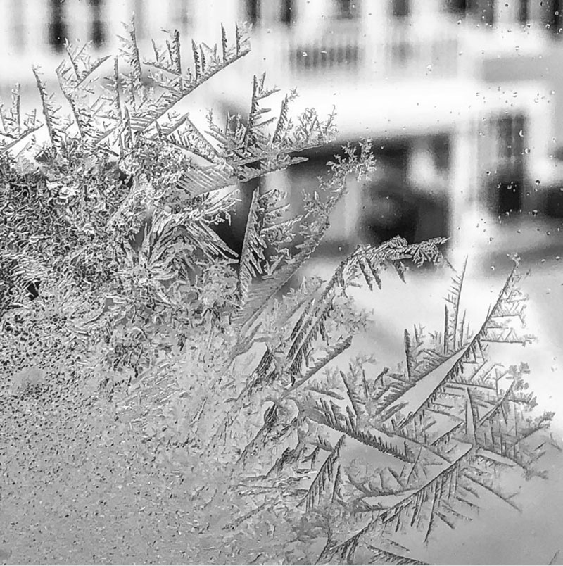 Crystal by Richard Monette. "It’s another cold one. Stay warm out there," he says.