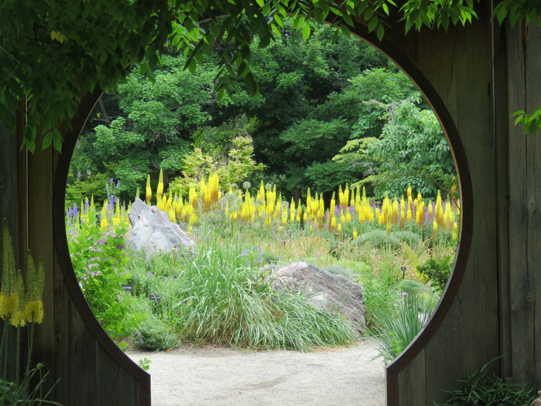 Class 3 Brian Carson Best in Show 2017. Through The Garden Gate