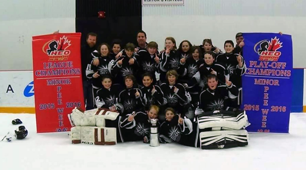 Minor Peewee AA Silver Sevens