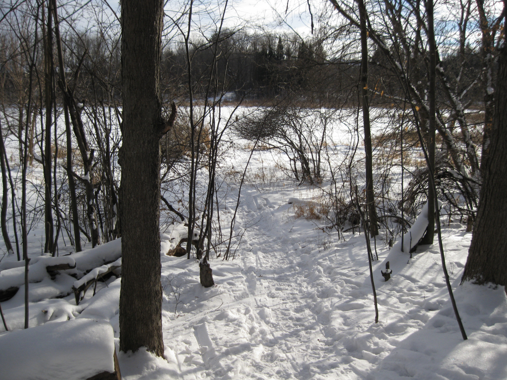 South March Highlights. Photo by Denise Deby.