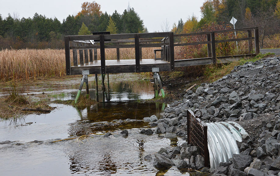 Stones blocking the culvert under the Trans Canada Trail, October 2014. Photo courtesy of Phil Sweetnam.