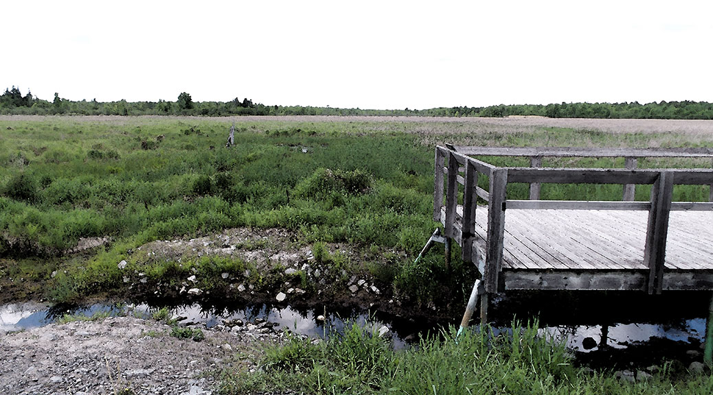 Illustration: Trans Canada Trail look-out, west of Stittsville. June 2016.