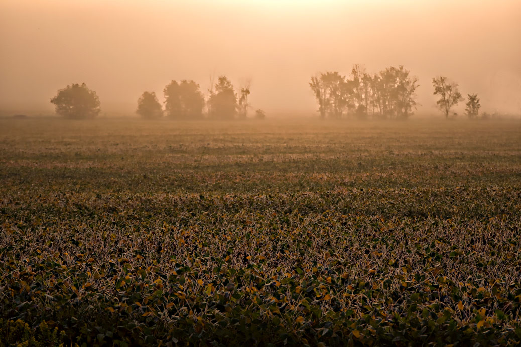 Tuesday morning around 7:30am, looking east from the roundabout at Fernbank & Shea Road. Photo by Peter J Tremblay / Ottawa Drone Services.